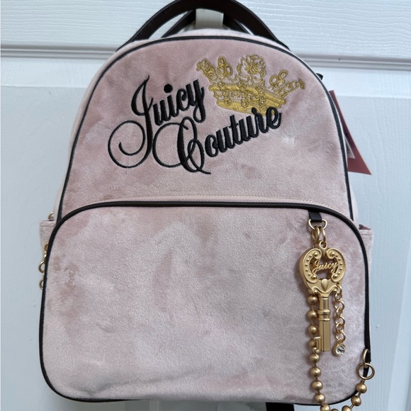 NWT “The Key to Juicy” Medium Backpack in Dusty Blush - Picture 1 of 7